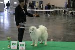 RCACIB Femelle Angers 2016
